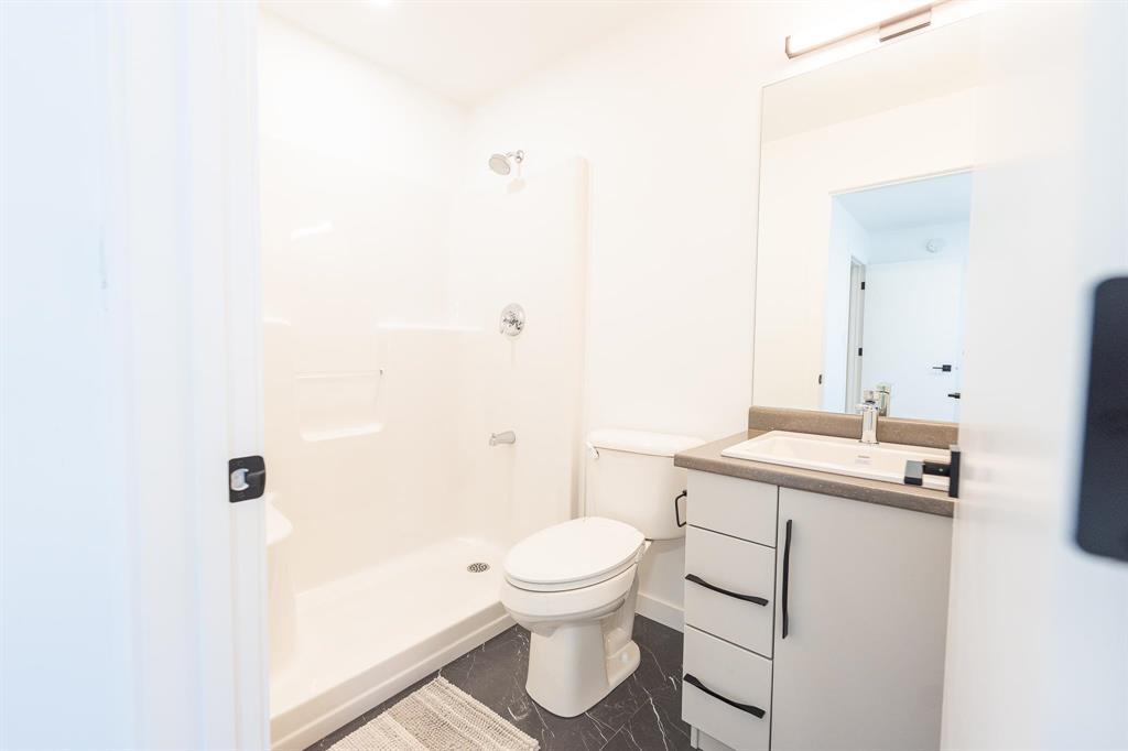 135 Windflower Road, Winnipeg, Manitoba  R3Y 0X7 - Photo 37 - 202517555