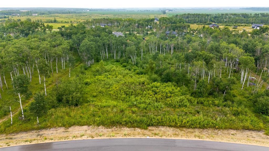 29 Cyrus Lane, La Broquerie, Manitoba  R0A 0W1 - Photo 1 - 202517866