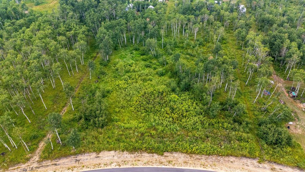 29 Cyrus Lane, La Broquerie, Manitoba  R0A 0W1 - Photo 3 - 202517866