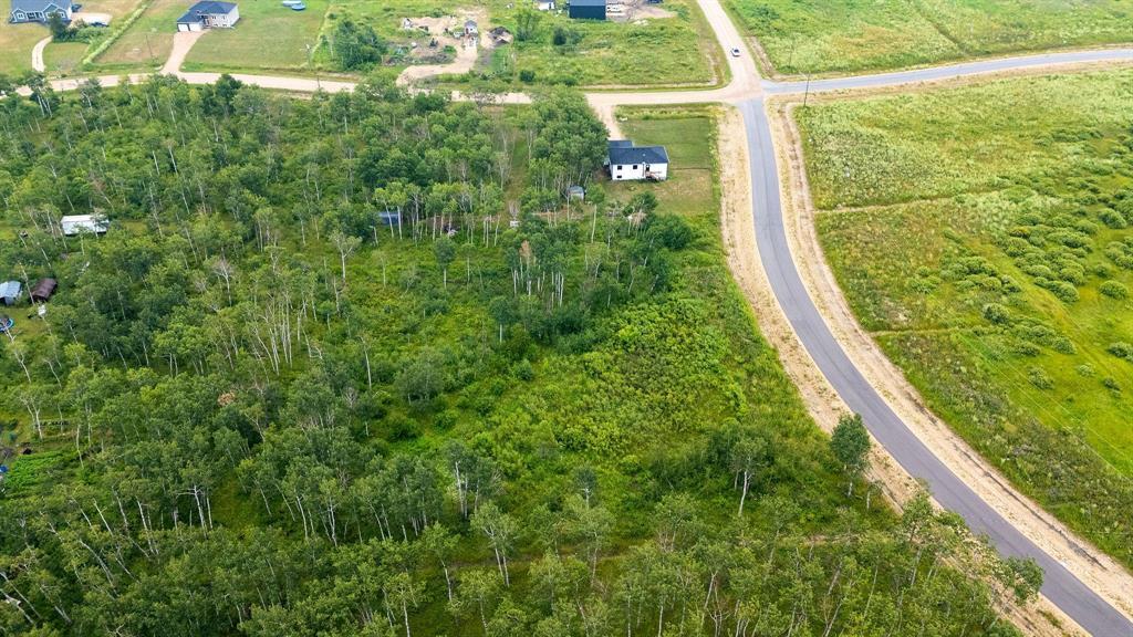 29 Cyrus Lane, La Broquerie, Manitoba  R0A 0W1 - Photo 6 - 202517866