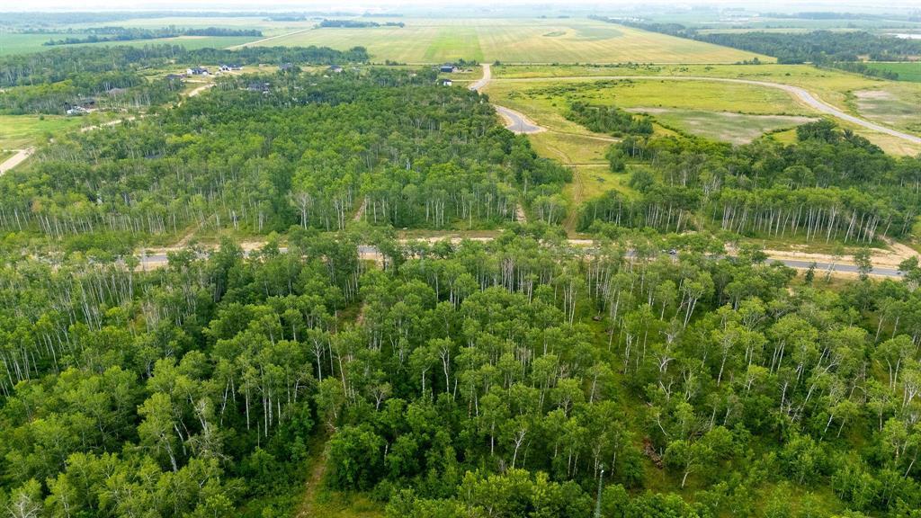 93 Spence Street, La Broquerie, Manitoba  R0A 0W1 - Photo 3 - 202517869
