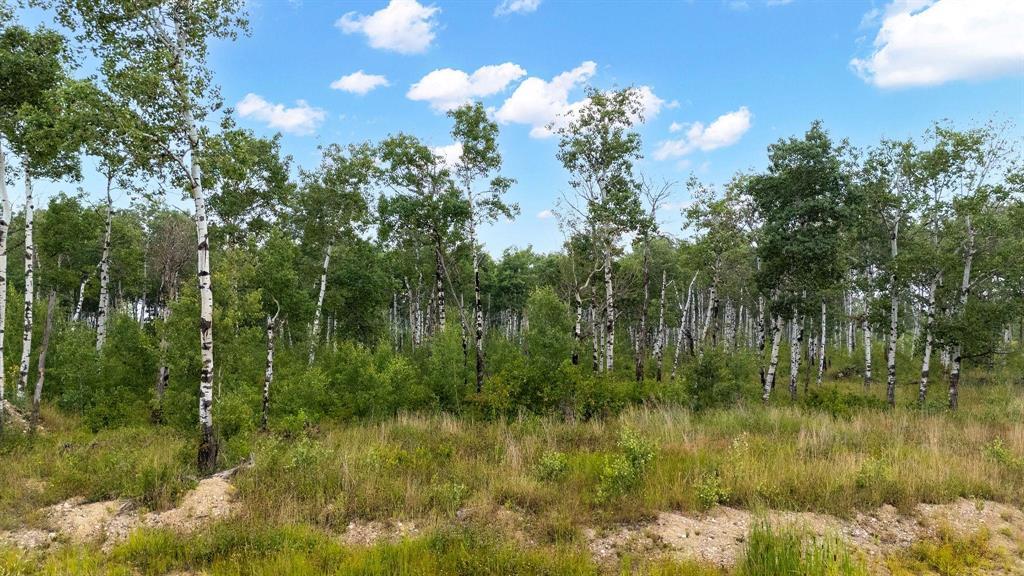 22 Cyrus Lane, La Broquerie, Manitoba  R0A 0W1 - Photo 3 - 202517870