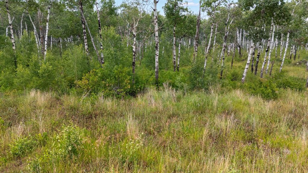 22 Cyrus Lane, La Broquerie, Manitoba  R0A 0W1 - Photo 8 - 202517870