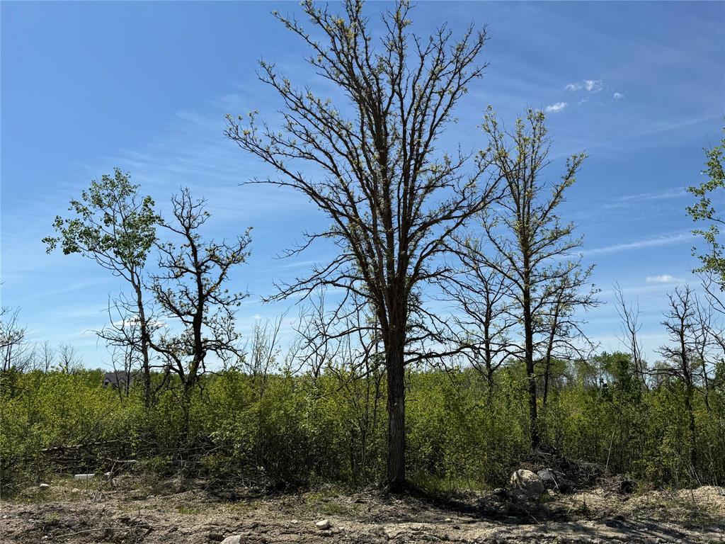 0 Bluegrass Way, St Malo, Manitoba  R0A 1T0 - Photo 1 - 202519203
