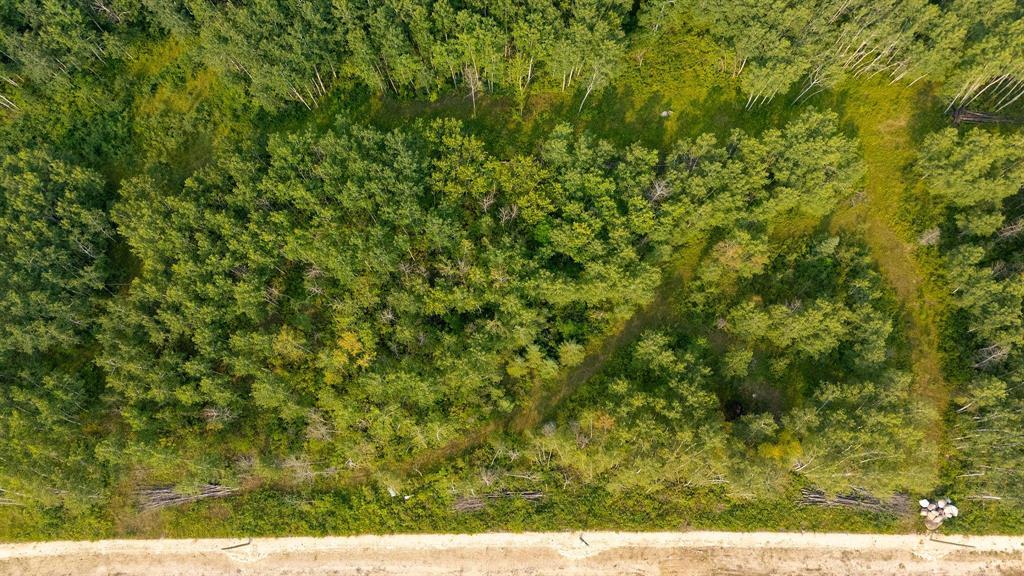 22 Katy Lane, La Broquerie, Manitoba  R0A 0W2 - Photo 2 - 202519354
