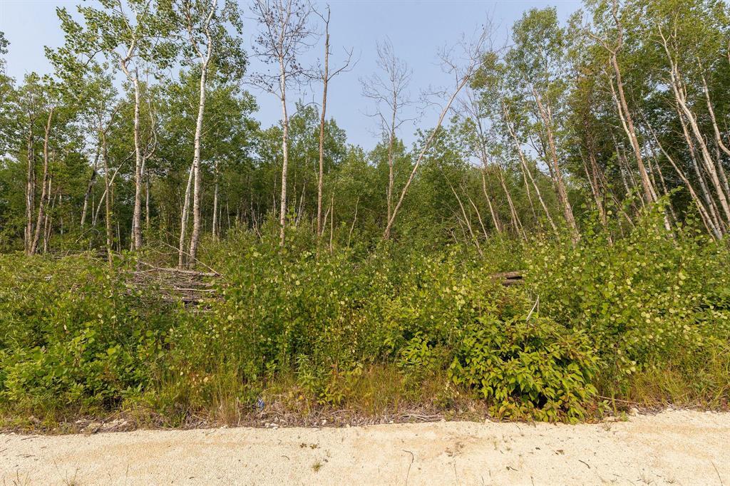 22 Katy Lane, La Broquerie, Manitoba  R0A 0W2 - Photo 8 - 202519354