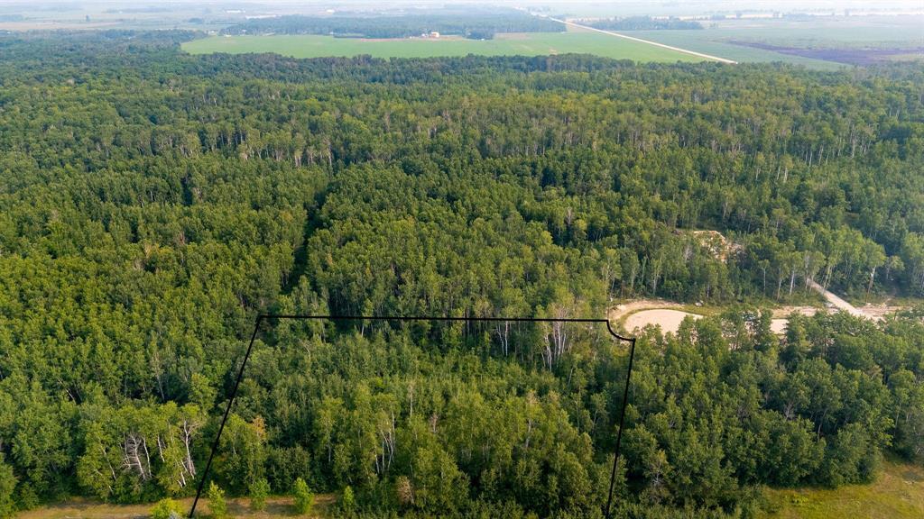 34 Jack Pine Drive, La Broquerie, Manitoba  R0A 0W2 - Photo 3 - 202519357