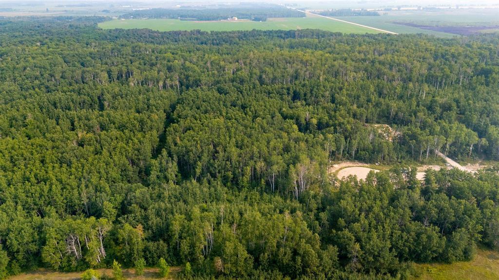34 Jack Pine Drive, La Broquerie, Manitoba  R0A 0W2 - Photo 4 - 202519357
