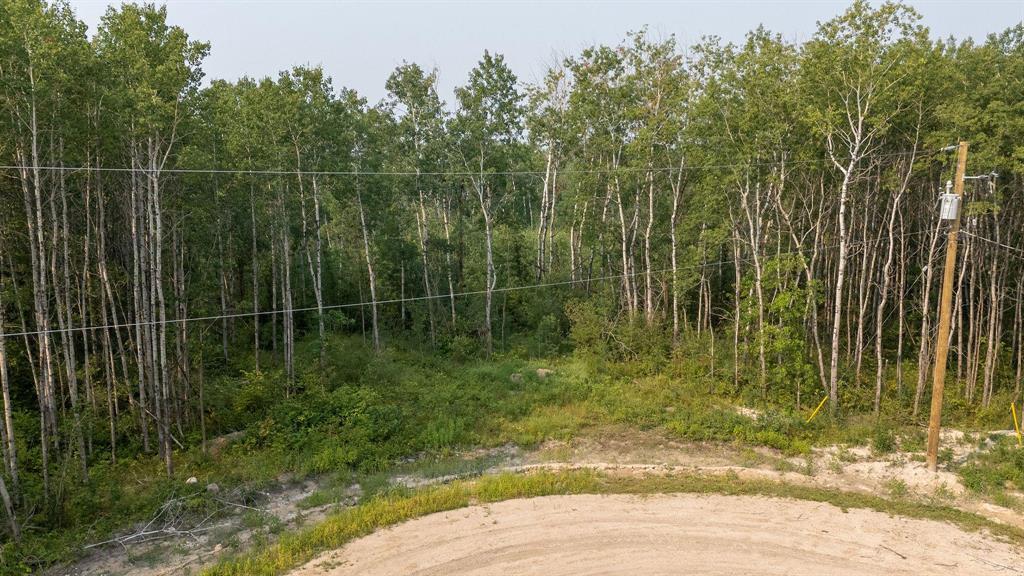 34 Jack Pine Drive, La Broquerie, Manitoba  R0A 0W2 - Photo 6 - 202519357