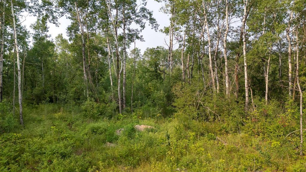 34 Jack Pine Drive, La Broquerie, Manitoba  R0A 0W2 - Photo 7 - 202519357