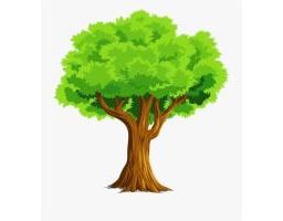 77 Westgrove Crescent, Kleefeld, Manitoba