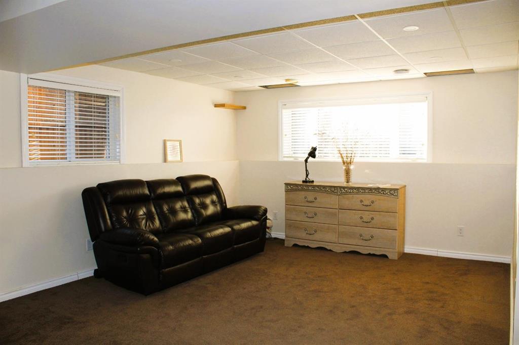 9 Promenade Jeanne Drive, La Broquerie, Manitoba R0A 0W0 - Photo 22 - 202529120