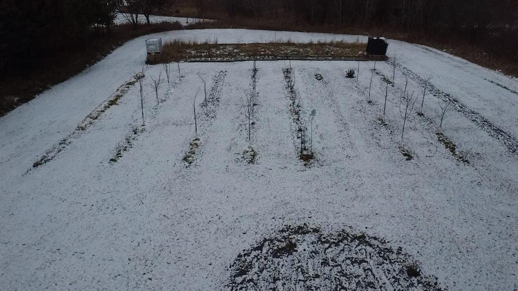 81027 Morden Sprague Road, Sprague, Manitoba R0A 1Z0 - Photo 11 - 202529372