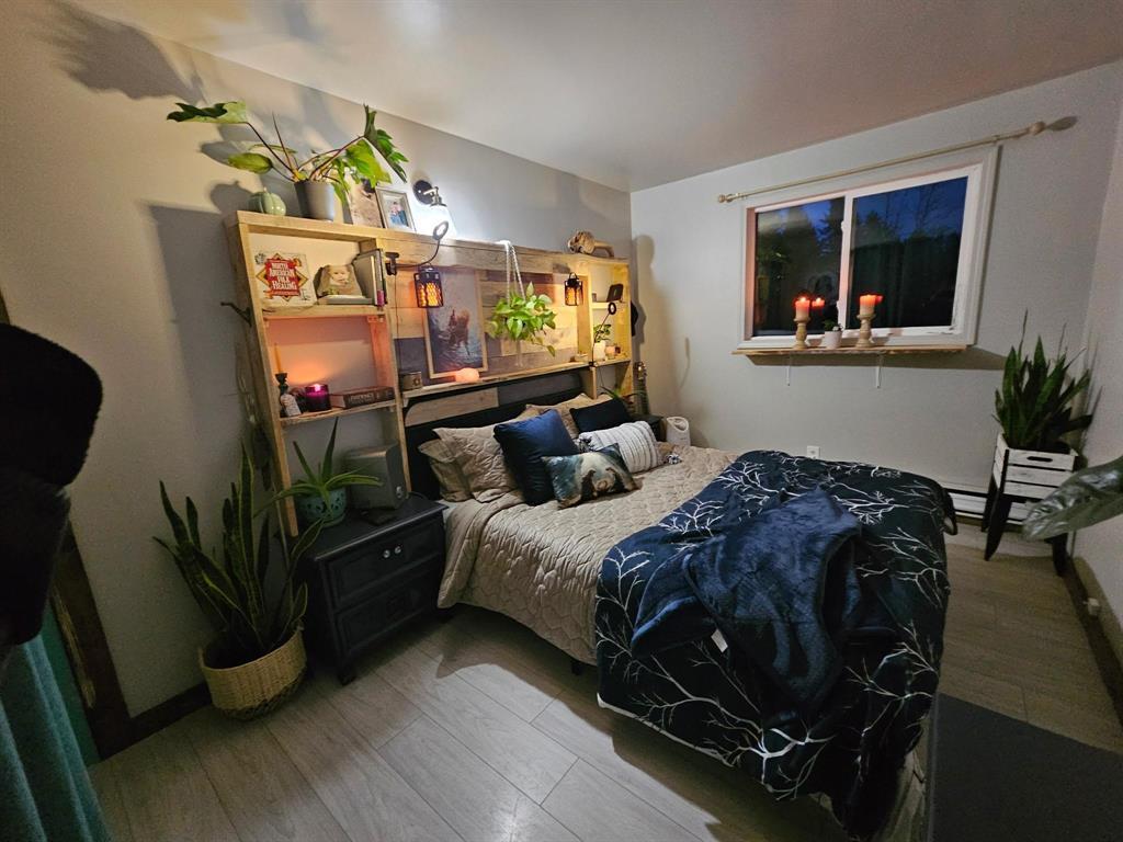 81027 Morden Sprague Road, Sprague, Manitoba R0A 1Z0 - Photo 21 - 202529372