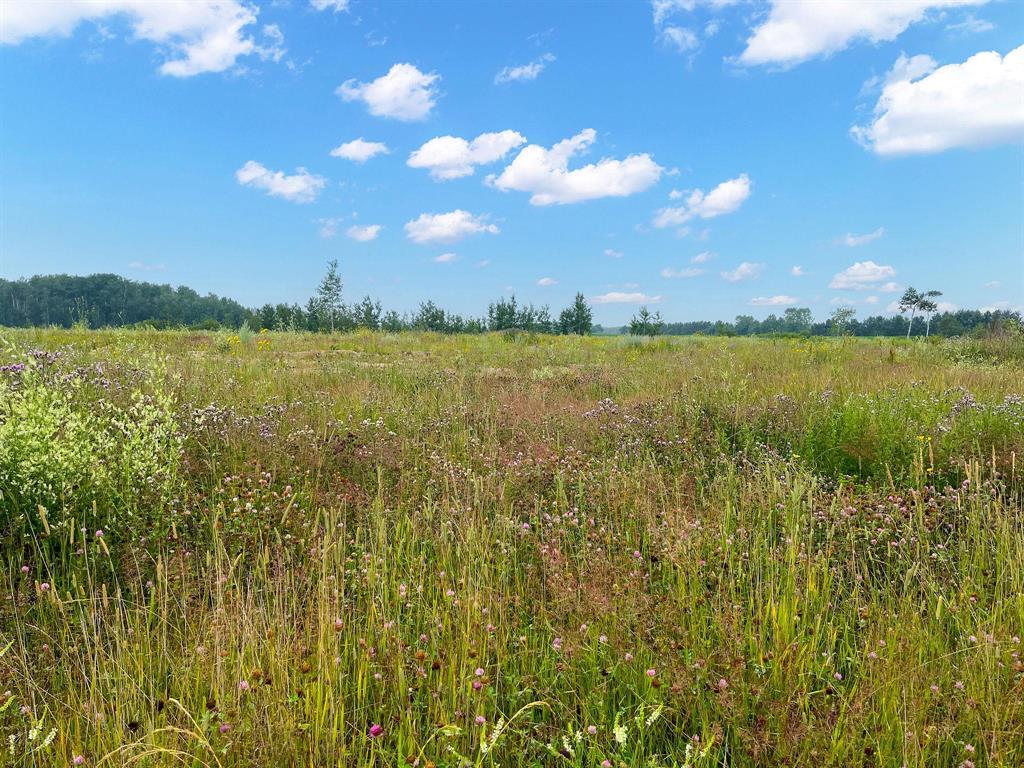 161 Spence Street, La Broquerie, Manitoba R0A 0W1 - Photo 1 - 202600154