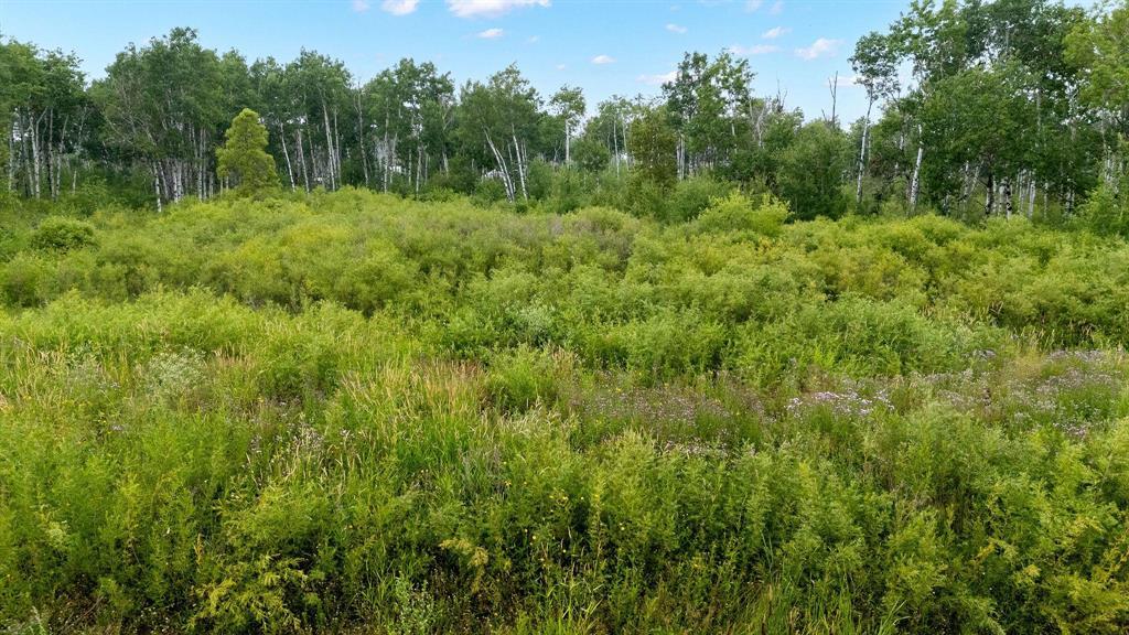 29 Cyrus Lane, La Broquerie, Manitoba R0A 0W1 - Photo 4 - 202600158