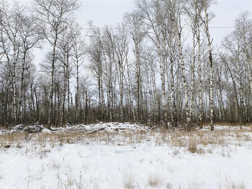 93 Spence Street, La Broquerie, Manitoba R0A 0W1 - Photo 0 - 202600160