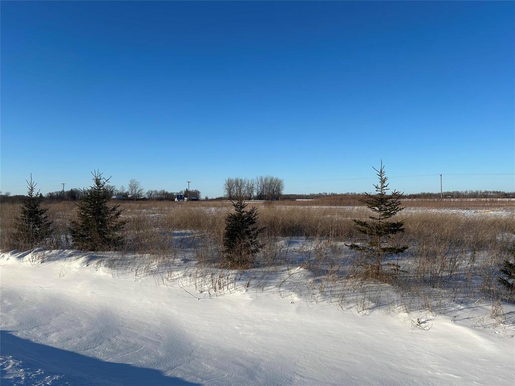 41 Pleasant Pine Place, Steinbach, Manitoba R0A 0N0 - Photo 0 - 202601663